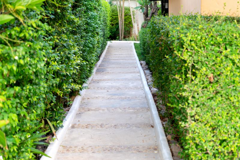 Concrete Pathway Repair in Des Moines, IA