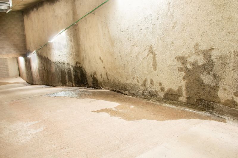 Wet Basement Solutions in Tampa, FL